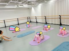 -中央芭蕾舞团·中芭艺蕾(酒仙桥明星校区)