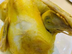 貞味盐焗鸡-贞味盐焗鸡(老城店)