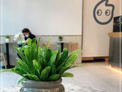 -CoCo都可(宝安大仟里店)