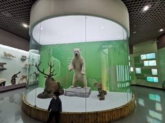 -国家自然博物馆