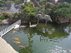 -罗红摄影艺术馆