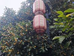 -皇罗禅寺