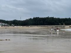 -坛南湾阿强农家乐.海鲜大排档老字号(福州地标美食店)