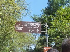 -鸡鸣赐茶(鸡鸣寺路店)