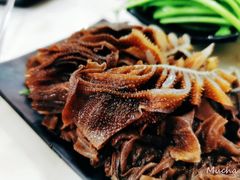 劲脆毛肚-多多大红焖羊肉馆