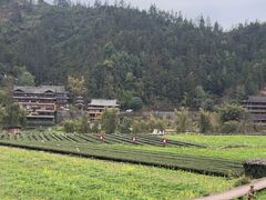 -程阳八寨景区