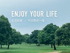 -五角枫生态旅游景区