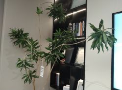 -颜蕾医美·黄金微针·水光·玻尿酸·超声炮