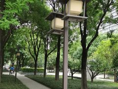 -木塔寺遗址生态公园