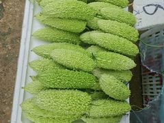 -江汉区姑嫂树菜市场