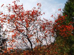 -北京金海湖景区