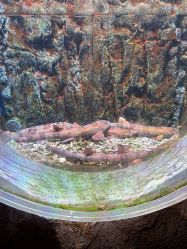 -Zoolung Zoolung动物主题公园(海信广场店)