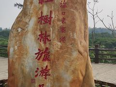 -东寨港红树林旅游区