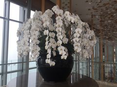 -视界美食自助餐厅·石家庄希尔顿酒店