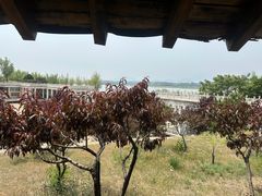 -青龙湖公园