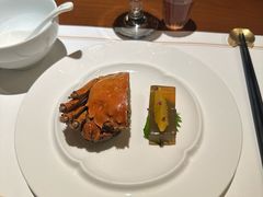-觀芷隐轩