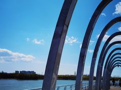 -大兴滨河森林公园