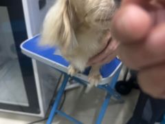 -福懋动物医院·犬猫全科·外科·重症科(杏林分院)