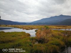 -腾冲北海湿地