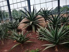 -南通洲际绿博园