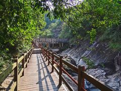 -广州白江湖森林公园