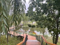 -东郊湿地公园