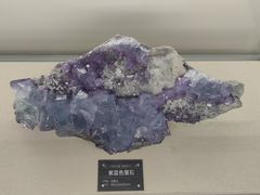 -中国地质博物馆
