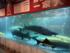 -年辉渔村·非遗传承餐厅(新丰江店)