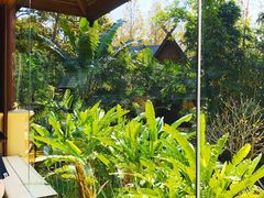 -四季酒店下午茶