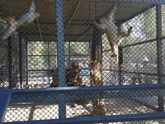 -长白岛森林公园