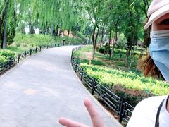 -大兴滨河森林公园