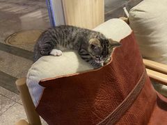 -猪的故事·韩式烤肉(韩乐坊店)