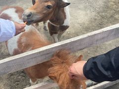 -水上乐园·欢乐世界