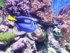 -珠海长隆海洋王国