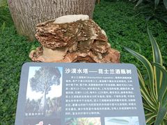 -北京植物园-展览温室