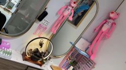 -东方美妍小鹏造型