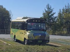 -黑瞎子岛探秘野熊园