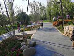 -回龙观体育文化公园