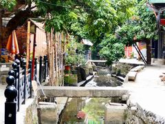 -小洲村