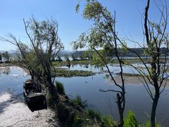 -洱海月湿地公园