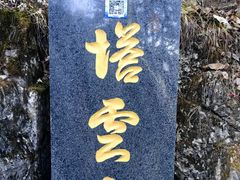 -塔云山