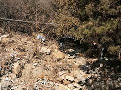 -白水寺森林公园