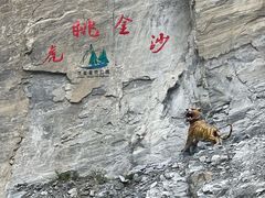 -丽江虎跳峡景区-售票处