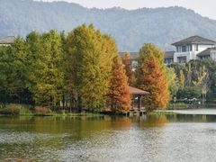 -浙江农林大学(东湖校区)