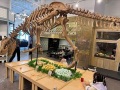 -FAIRYLAND龙族星球主题餐厅(凯丹广场店)