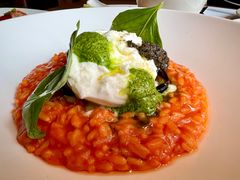 番茄烩饭配布拉塔和罗勒酱-IES Restaurant(去未舍店)