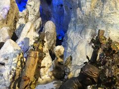 -青岛葡萄酒博物馆