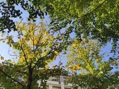 -浙江科技大学(小和山校区)