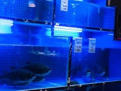水产区-姜君·千岛湖鱼头馆(浦东大道店)