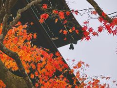 -医王山·飞騨国分寺